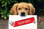 Spenden Tierschutzverein Friesoythe