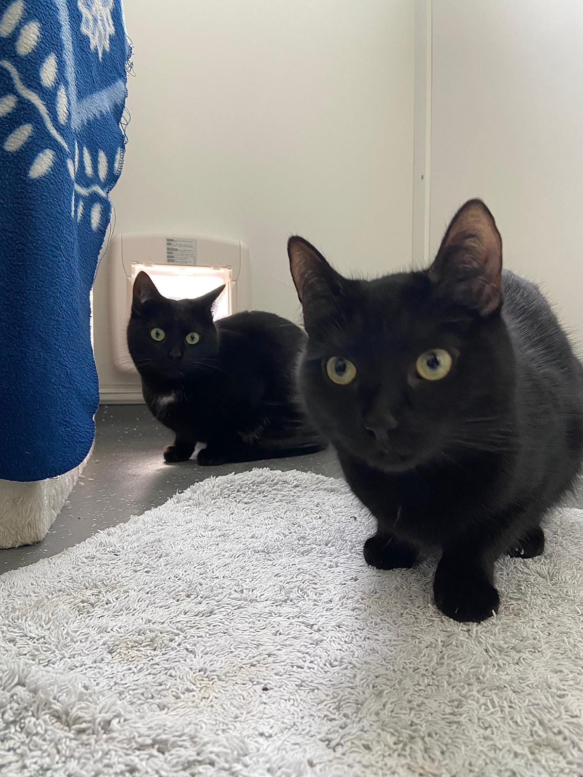 Nele & Kassandra