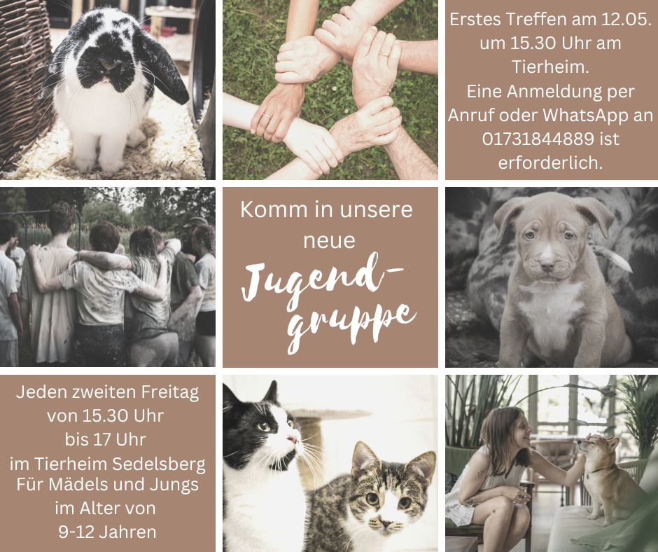 Komm in unsere neue Jugendgruppe