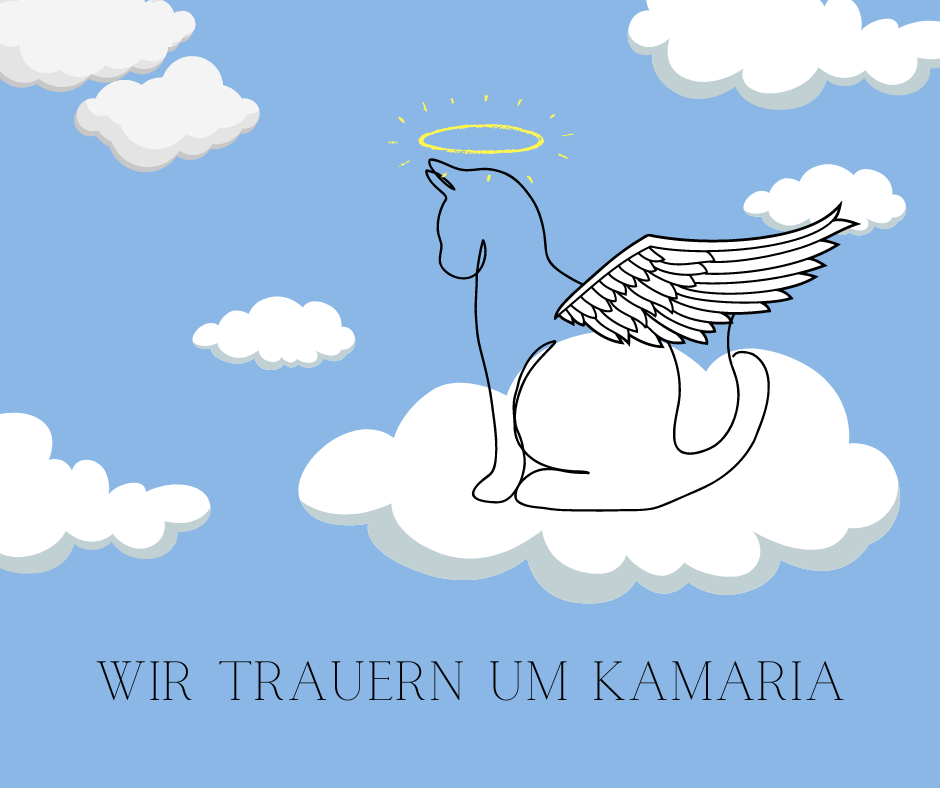 Wir trauern um Kamaria