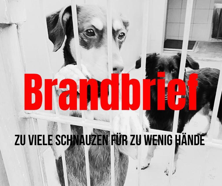 BRANDBRIEF