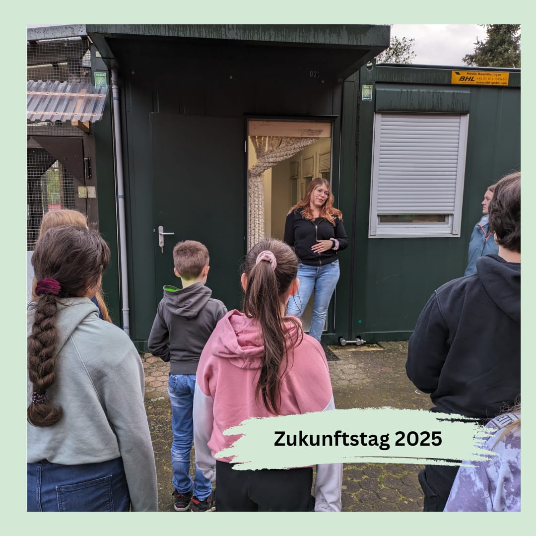 Zukunftstag 2025