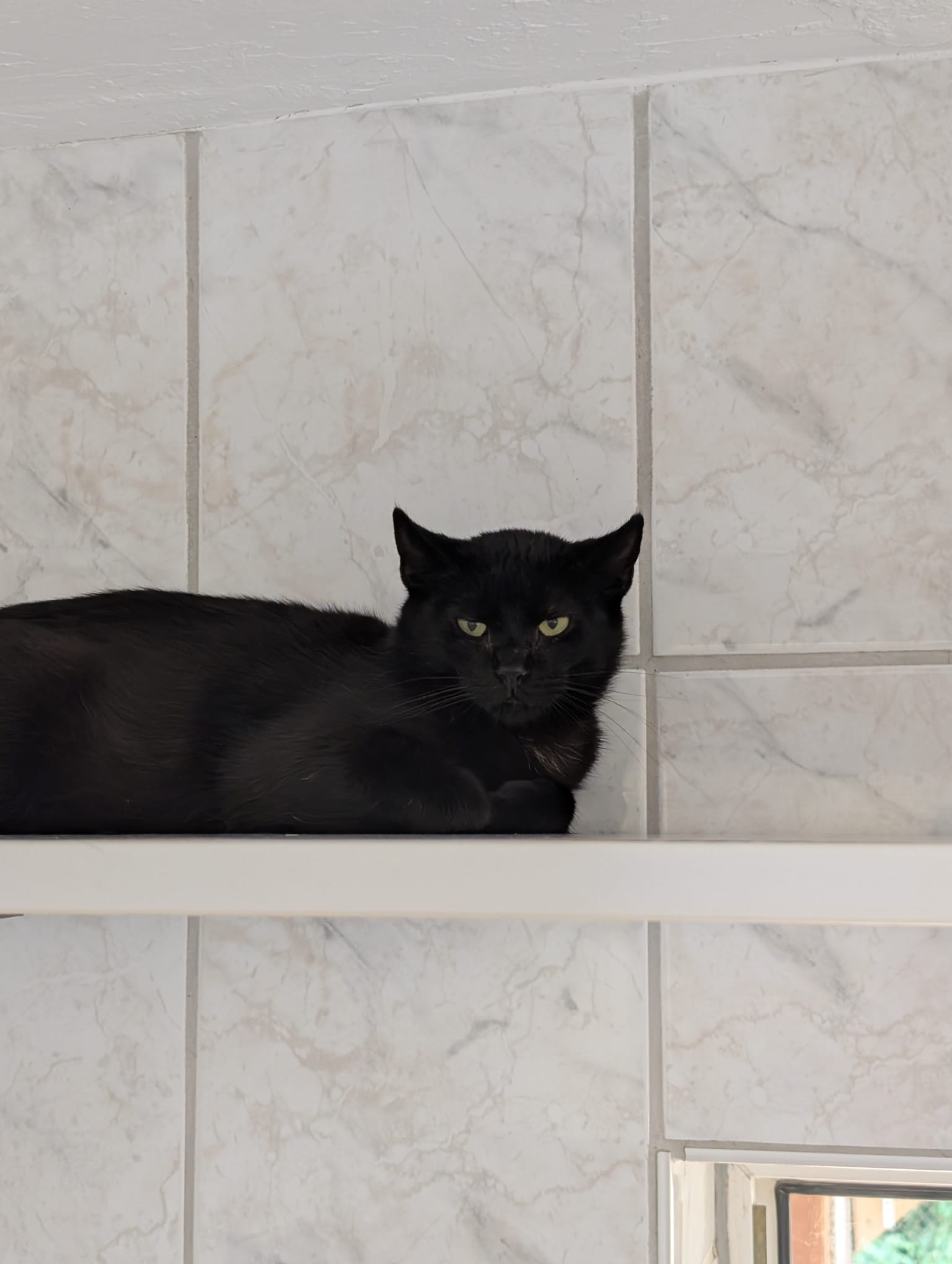 Kuro