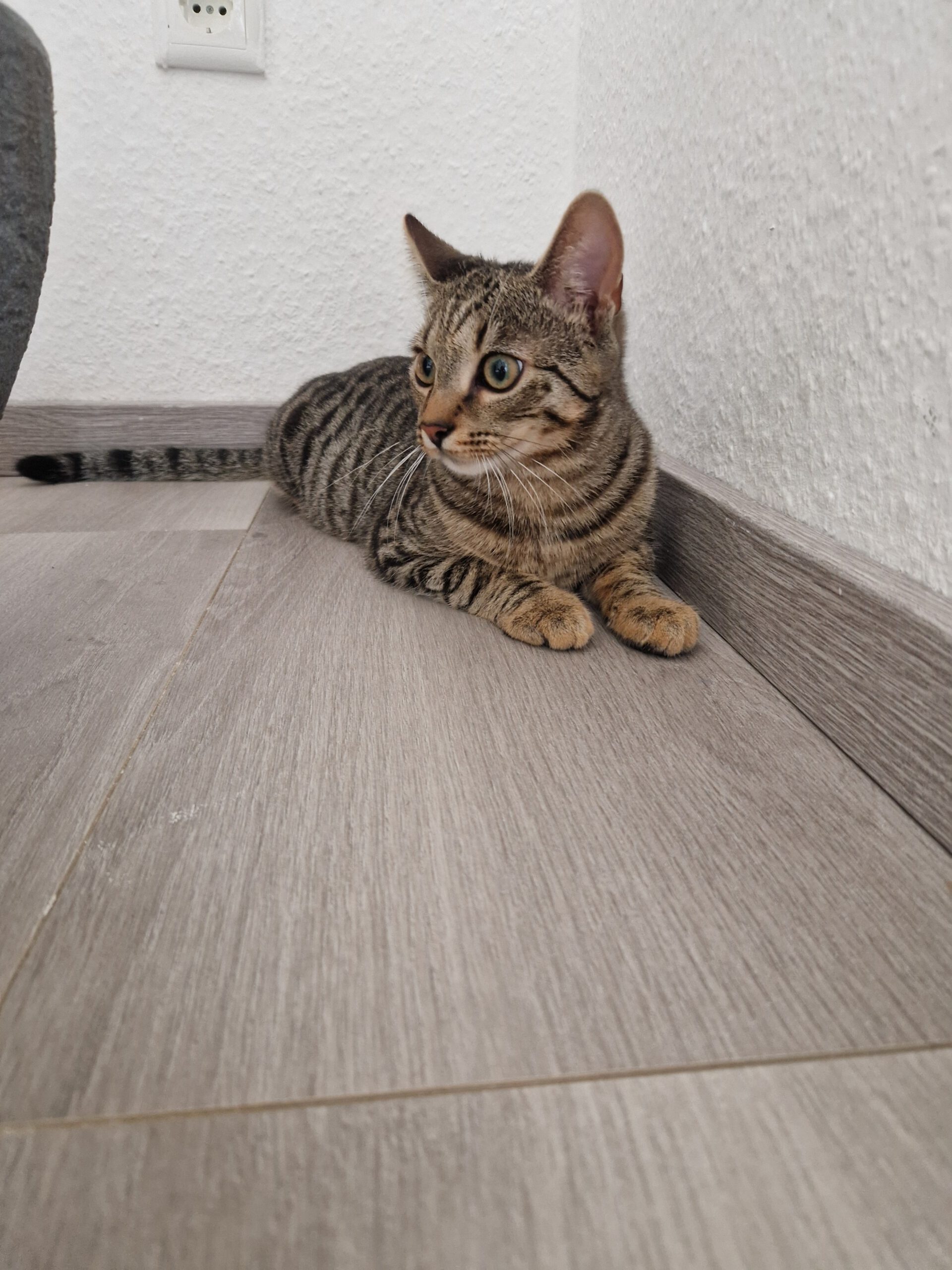 Luno